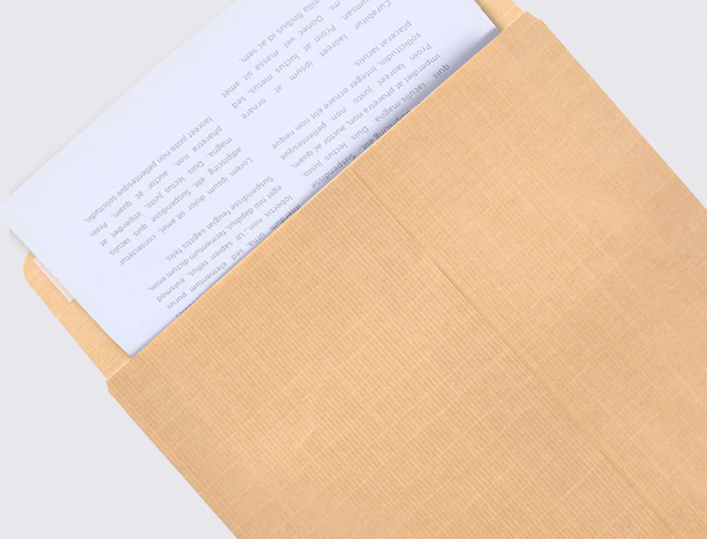 ENVELOPE LIDERPAPEL BOLSA FOLIO ESPECIAL CASTANHO 280X365X50 MM FOLE TIRA DE SILICONE PACK DE 50 UNIDADES