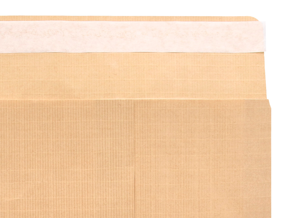 ENVELOPE LIDERPAPEL BOLSA FOLIO ESPECIAL CASTANHO 280X365X50 MM FOLE TIRA DE SILICONE PACK DE 50 UNIDADES