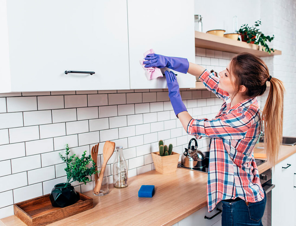 DETERGENTE DESEMFETANTE SANYTOL PARA COZINHAS COM PISTOLA PULVERIZADORA FRASCO DE 750 ML