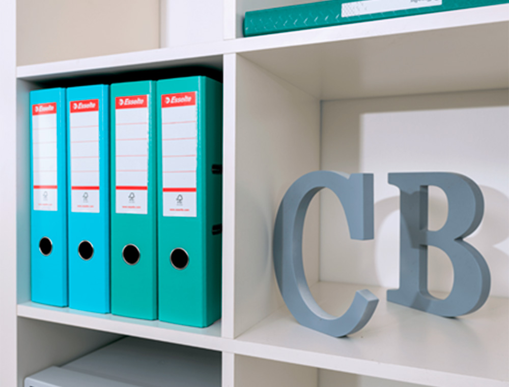 PASTA DE ARQUIVO DE ALAVANCA ESSELTE COLOUR BREEZE CARTAO FORRADO PVC DIN A4 LOMBADA 75 MM COR MALVA