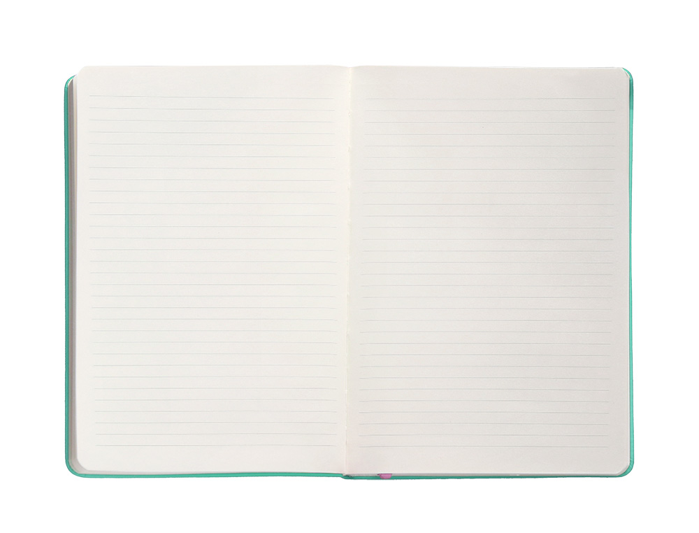 CADERNO COM ELASTICO ANTARTIK NOTES CAPA DURA A4 PAUTADO ROSA E TURQUESA 100 FOLHAS 80 GR FSC