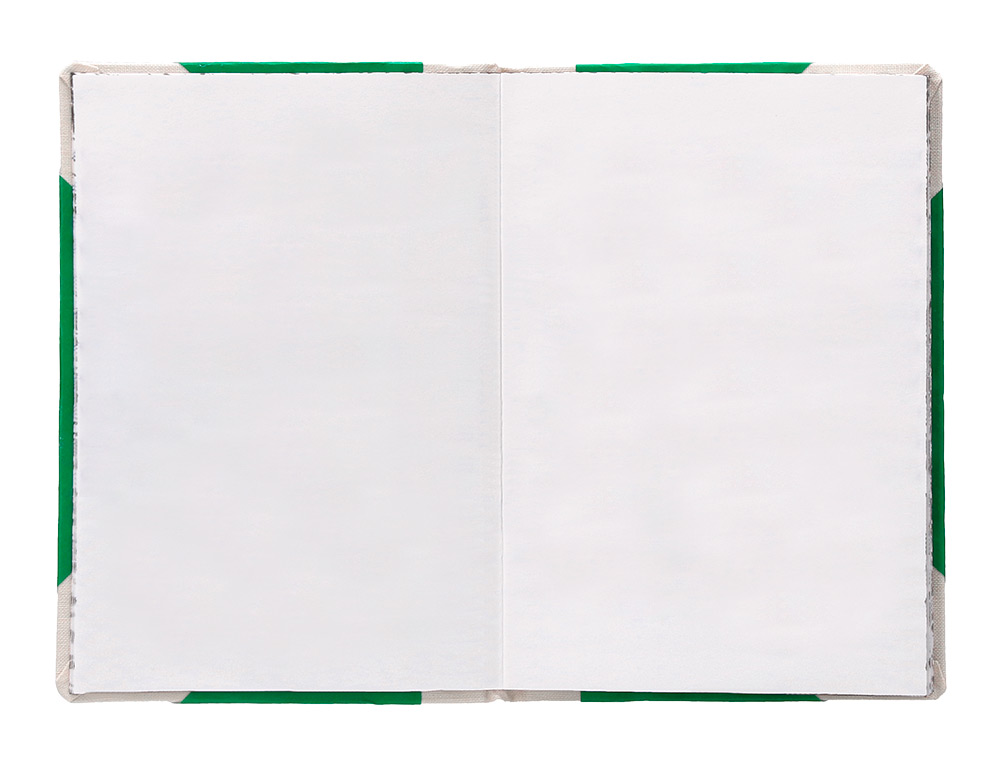 LIVRO DE CARTAO COSIDO FERNANDES FLECHA DIN A5+ LISO 50 FOLHAS 100 GR VERDE