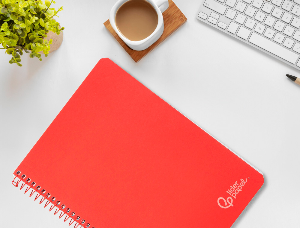 CADERNO ESPIRAL LIDERPAPEL WITTY DIN A4 CAPA DURA 80F 90GR PAUTADO COM MARGEM COR VERMELHO