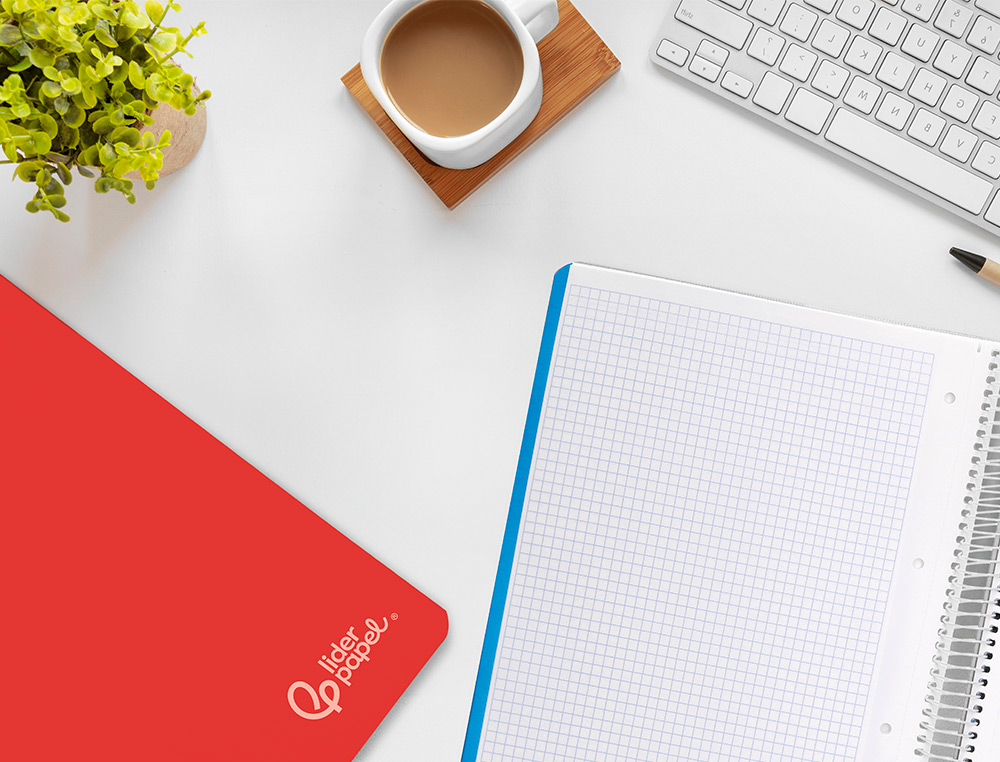 CADERNO ESPIRAL LIDERPAPEL WITTY MICRO DIN A5 CAPA DURA 120F 90GR QUADRICULA 5MM 5 BANDAS 6 FUROS CORES SORTIDAS