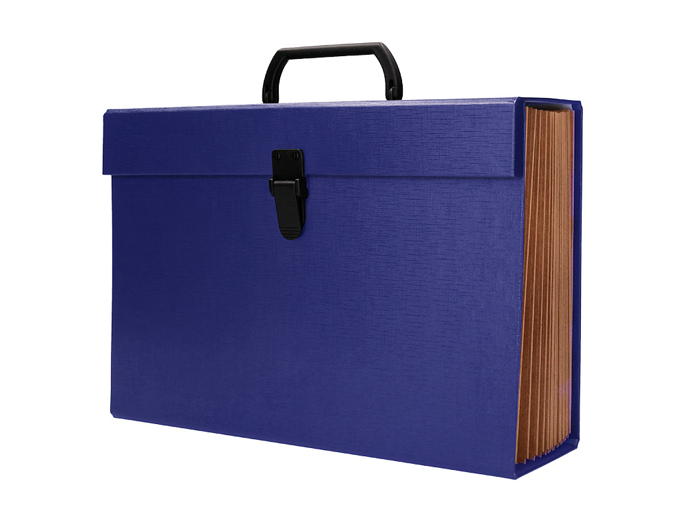 MALA CLASSIFICADORA LIDERPAPEL COM FOLE E ASA CARTAO FORRADO 19 DEPARTAMENTOS 255X390X120 MM COR AZUL