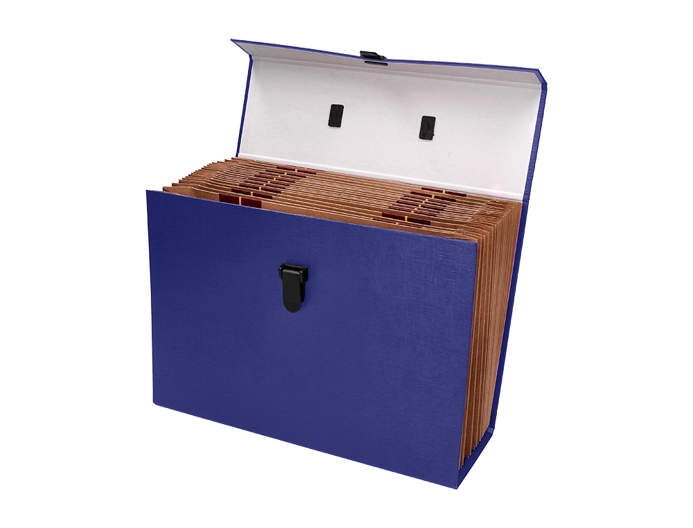 MALA CLASSIFICADORA LIDERPAPEL COM FOLE E ASA CARTAO FORRADO 19 DEPARTAMENTOS 255X390X120 MM COR AZUL