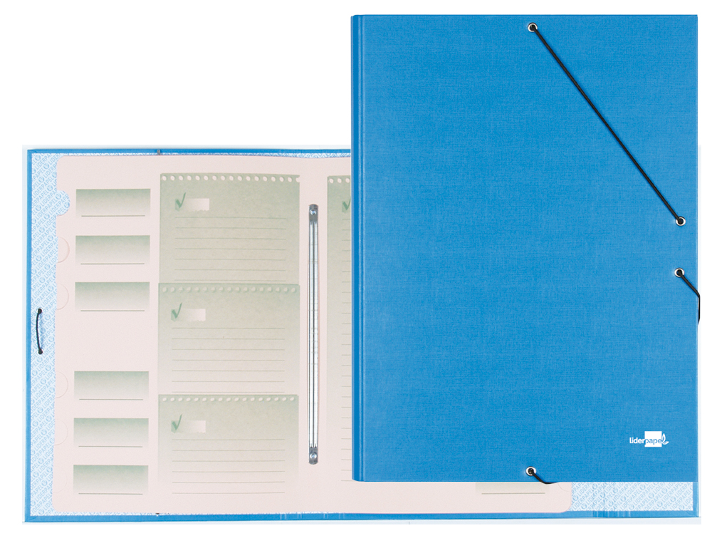 PASTA CLASSIFICADORA LIDERPAPEL COM 12 DEPARTAMENTOS CELESTE