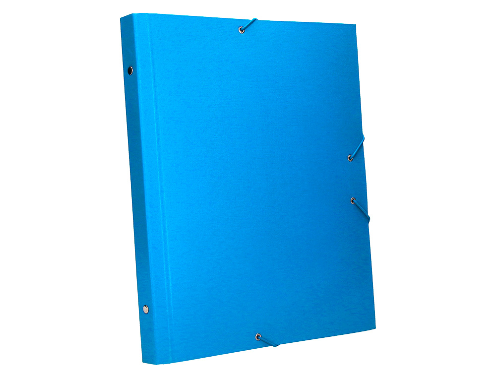 PASTA CLASSIFICADORA LIDERPAPEL COM 12 DEPARTAMENTOS CELESTE