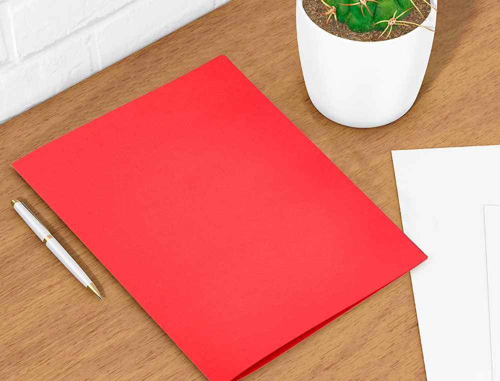 CLASSIFICADOR LIDERPAPEL EM CARTOLINA DE 180 GRS, FOLIO, VERMELHO INTENSO