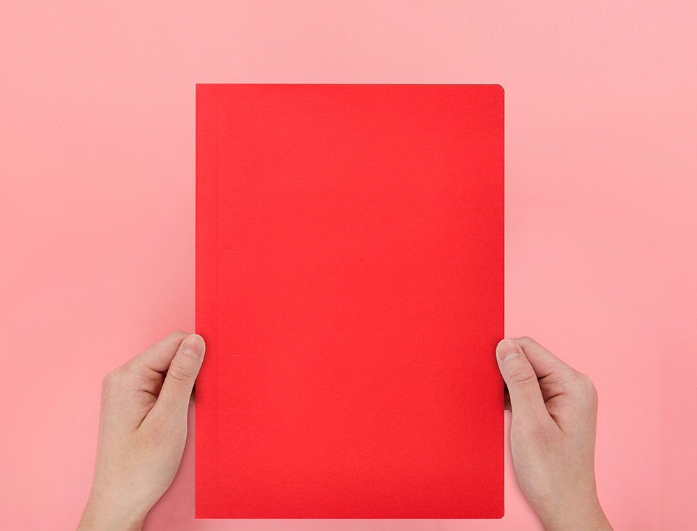 CLASSIFICADOR LIDERPAPEL EM CARTOLINA DE 180 GRS, FOLIO, VERMELHO INTENSO
