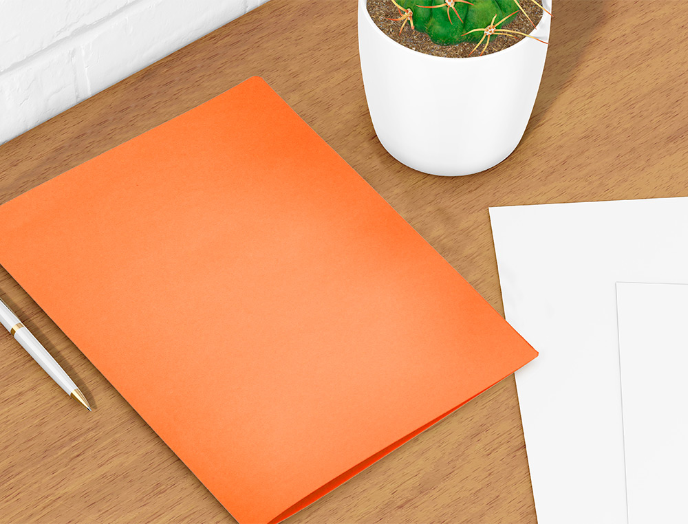 CLASSIFICADOR LIDERPAPEL EM CARTOLINA DE 180 GR DIN A4 LARANJA INTENSO