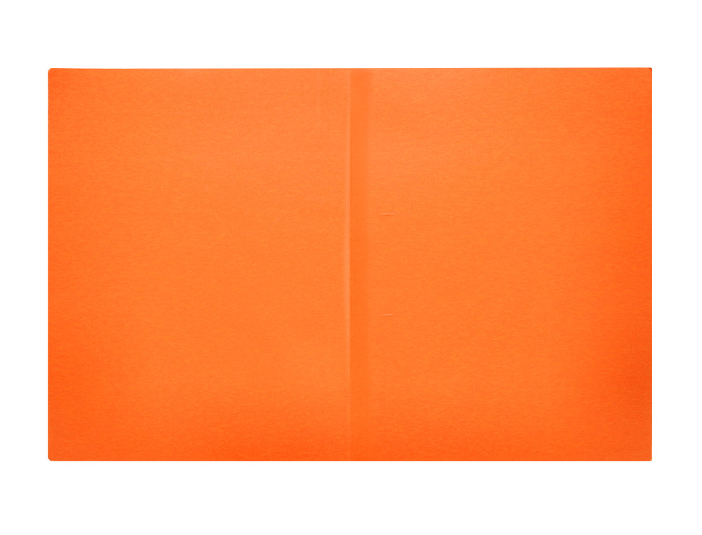 CLASSIFICADOR LIDERPAPEL EM CARTOLINA DE 180 GR DIN A4 LARANJA INTENSO