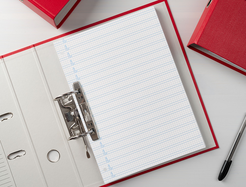 RECAMBIO LIDERPAPEL FOLIO 100 H 4 TALADROS 70 GR CUADRICULADO PAUTADO 4 MM CON MARGEN