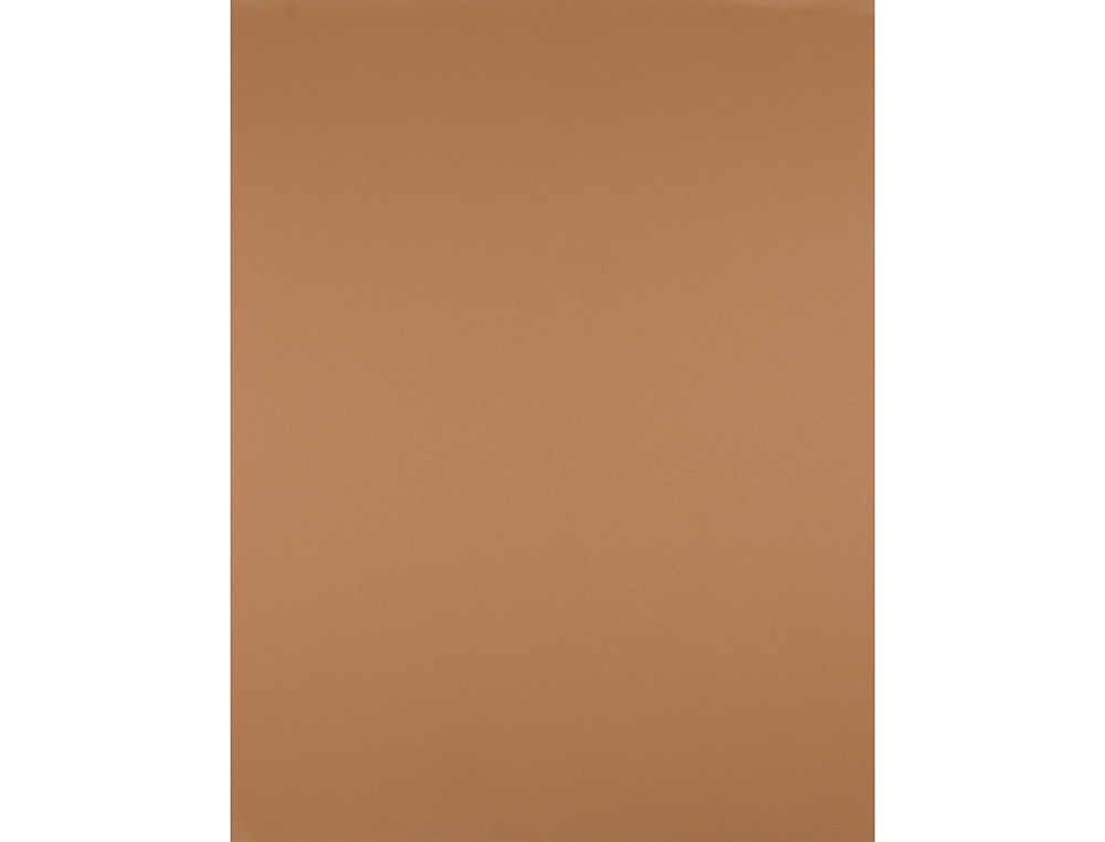 CARTOLINA LIDERPAPEL 50X65 CM 240 GR CASTANHO CLARO PACK DE 25 UNIDADES