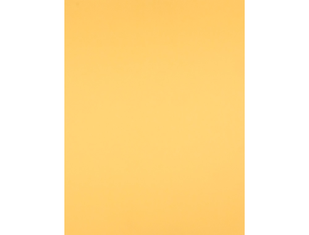 CARTOLINA LIDERPAPEL 50X65 CM 180 GR OURO