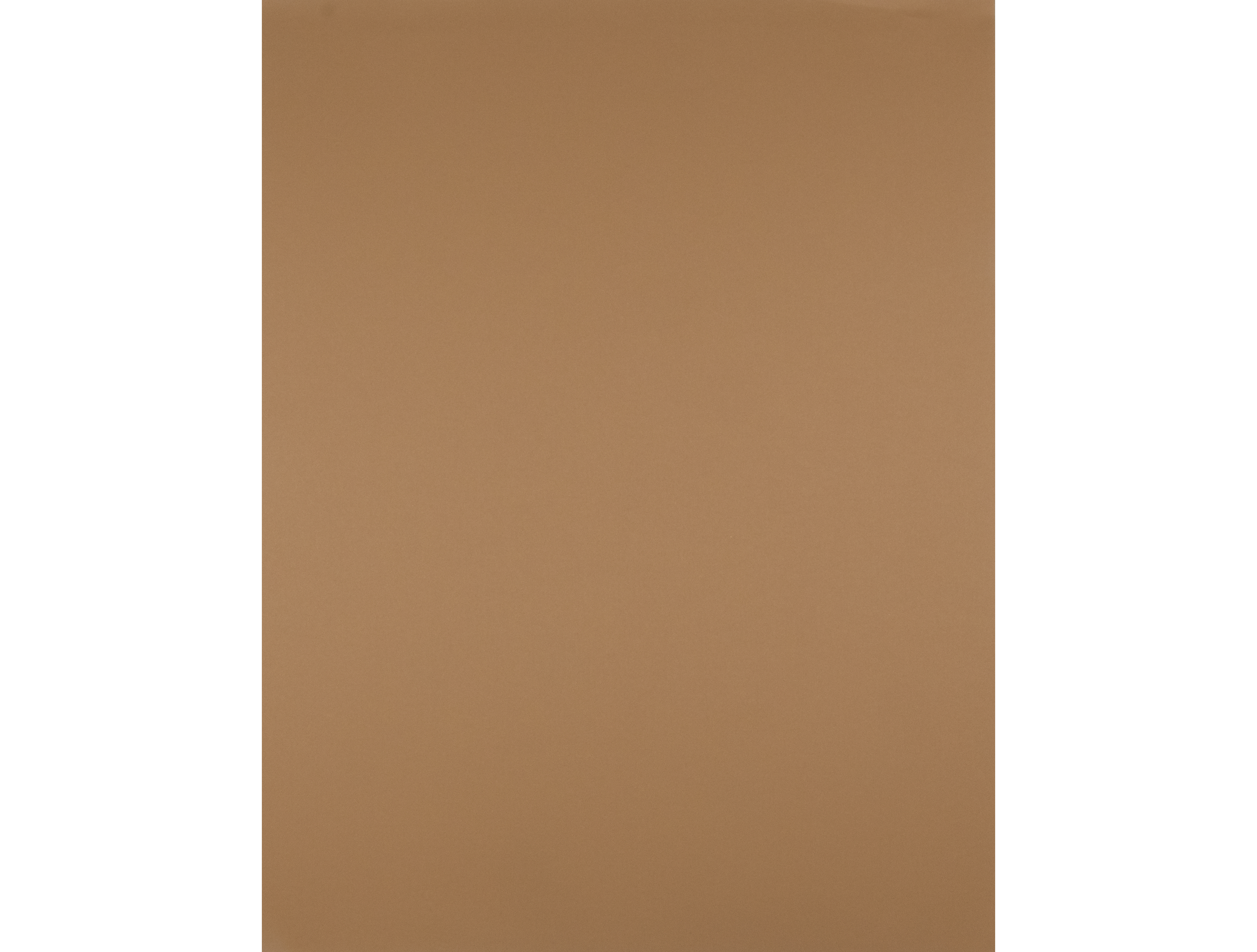 CARTOLINA LIDERPAPEL 50X65 CM 180 GR CASTANHO CLARO