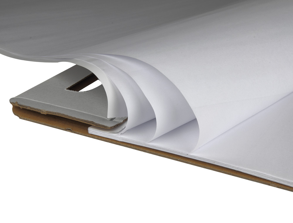 BLOCO CONGRESSO LIDERPAPEL 50 FOLHAS 63X84 CM